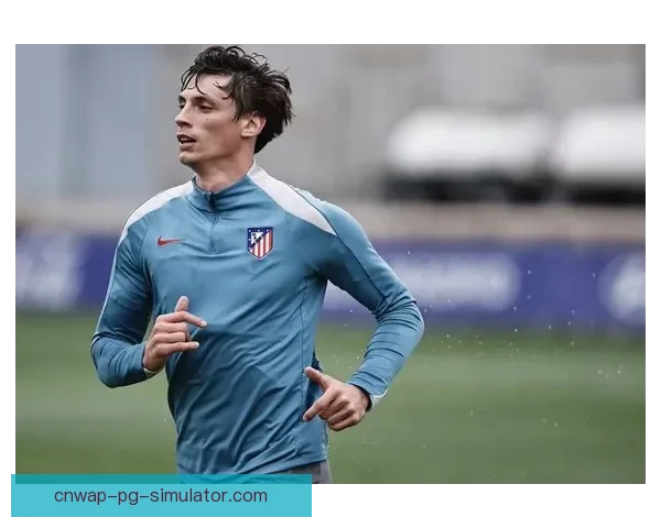 勒诺尔芒加盟马德里竞技助力球队防线实力全面提升